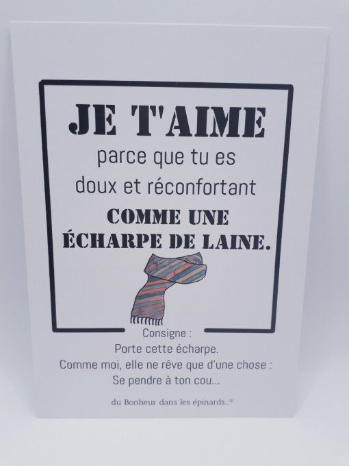 CARTE JE T'AIME PARCE QUE TU ES DOUX + 1 ECHARPE POUR LUI