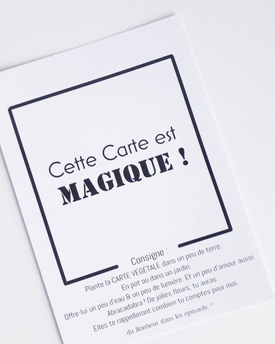 CARTE MAGIQUE A PLANTER - AVEC UN GRAND AIME - N19